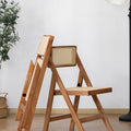 Irwin Rattan Foldable Dining Chair