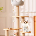 Liam Cat Climber, Cat Tree, Wood