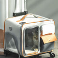 Babur Rolling Suitcase Cat Carrier with Wheels
