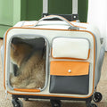 Babur Rolling Suitcase Cat Carrier with Wheels