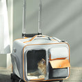 Babur Rolling Suitcase Cat Carrier with Wheels