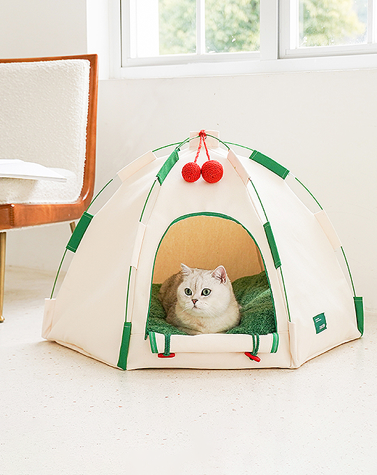 Willow Pet Tent Cave for Cats, Cat Bed for Indoor Cats