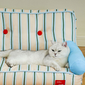 Charlie Cat/ Dog Bed, Soft Sofa Shape