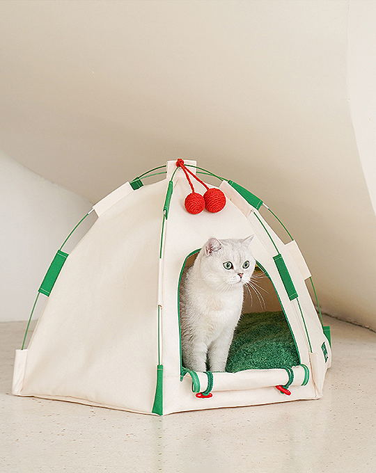 Willow Pet Tent Cave for Cats, Cat Bed for Indoor Cats