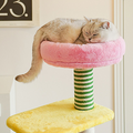 Chloe Cat Tree/ Climber