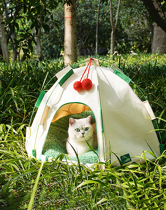 Willow Pet Tent Cave for Cats, Cat Bed for Indoor Cats