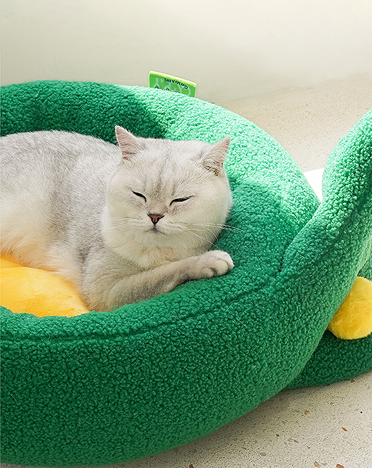 Rocky Fluffy Pet Cushion, Cat Bed