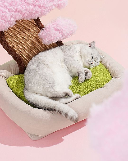 Cherry Blossom Cat Bed/ Couch, Scratcher Back