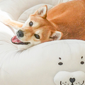 Seal Cat Dog Bed, White