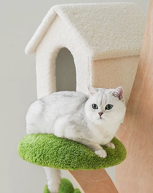 Sophie Cat House, Cat Tree with Padded Plush Perch