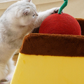 Nala Cat Scratcher with Rotatable Ball