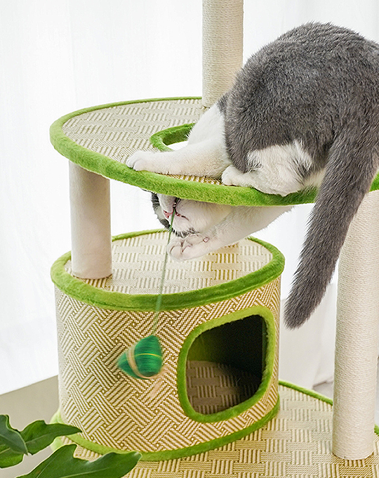 Leo Cat Tree/ Climber with Sisal Scratching Post