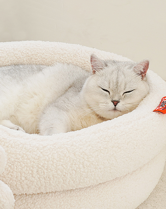 Rocky Fluffy Pet Cushion, Cat Bed