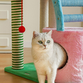 Chloe Cat Tree/ Climber