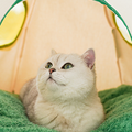 Willow Pet Tent Cave for Cats, Cat Bed for Indoor Cats
