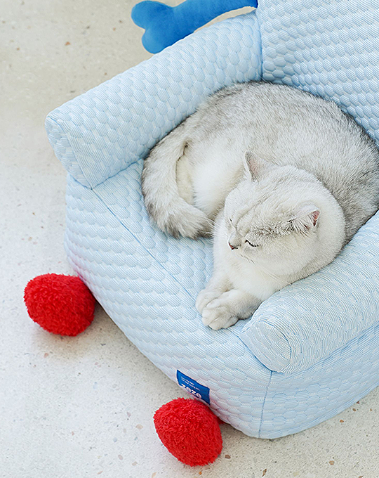 Coco Cat Bed, Kitten Couch