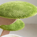 Sophie Cat House, Cat Tree with Padded Plush Perch