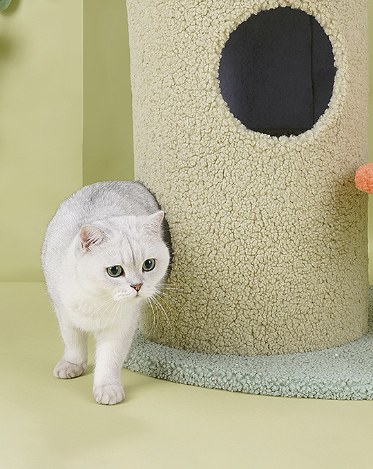 Oliver Cat Tree With Scratching Post