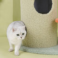 Oliver Cat Tree With Scratching Post