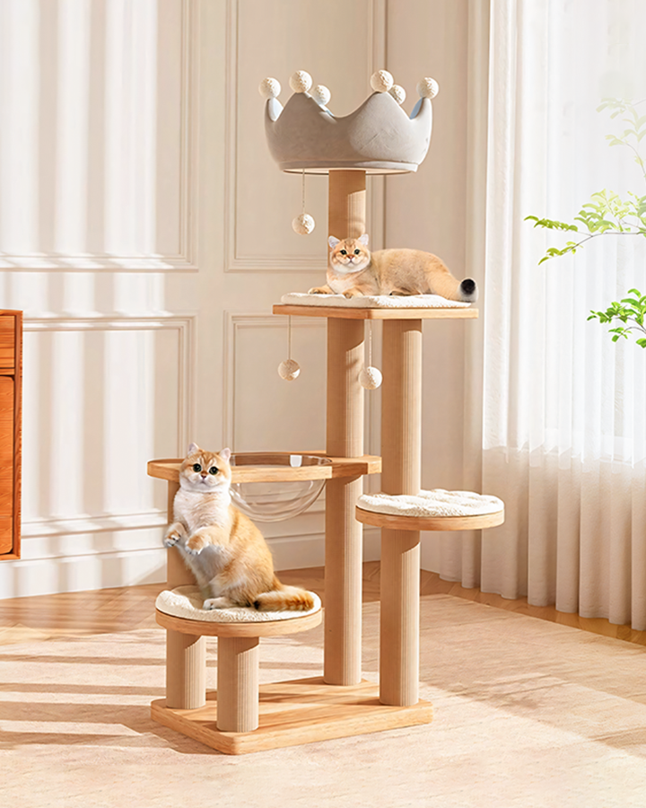 Liam Cat Climber, Cat Tree, Wood