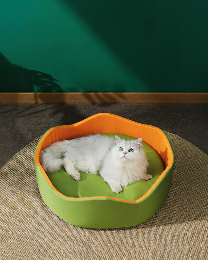 Paula Pet Bed for Puppy and Kitty, Extra Soft, Cat Bed