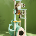 Rainforest Cat Climber, Cat Tree, Boucle