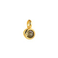 Circular Charm
