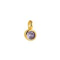 Circular Charm