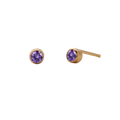 Birthstone Round Stud Earring