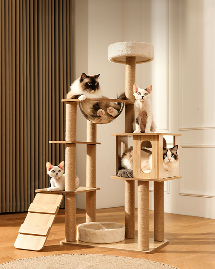 Sullivan Cat Climber, Cat Tree, Wood