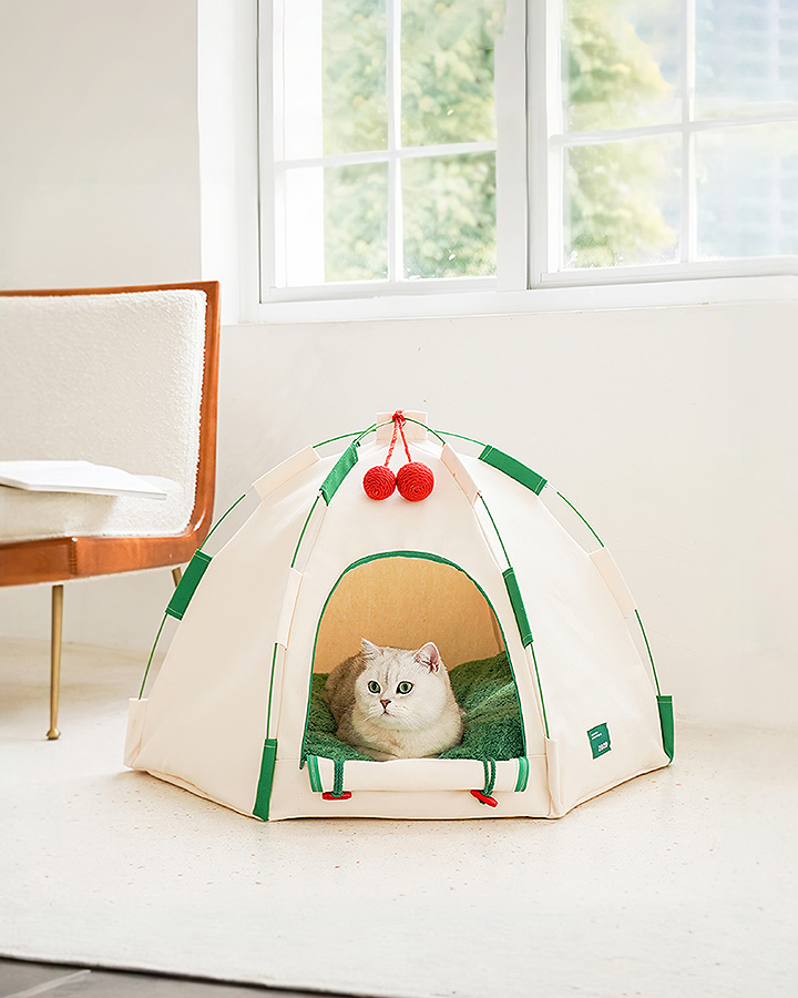 Willow Pet Tent Cave for Cats, Cat Bed for Indoor Cats