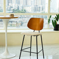Caspian Bar Stool