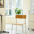 Linden Dining Chair detail image