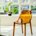 Amber Dining Chair detail image