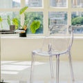 Amber Dining Chair detail image