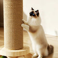 Palma Cat Tree detail image
