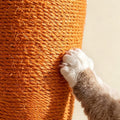 Carrot Cat Scratching Post detail image