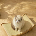 Caspian Cat Lounge Bed detail image