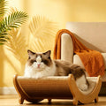 Caspian Cat Lounge Bed detail image