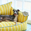 Sunny Stripes Pet Bed detail image