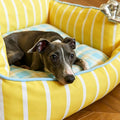Sunny Stripes Pet Bed detail image
