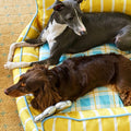Sunny Stripes Pet Bed detail image