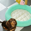 Aqua Pool Float detail image