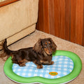 Zoze Apple-Shaped Cushion detail image