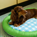 Zoze Apple-Shaped Cushion detail image
