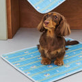 Aqua Duck Bath Mat detail image