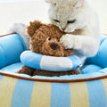 Aqua Striped Pet Bed detail image