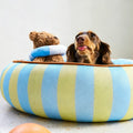 Aqua Striped Pet Bed detail image