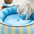 Aqua Striped Pet Bed detail image