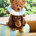 Aqua Striped Pet Bed detail image